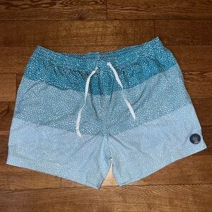 Chubbies Swim Trunks